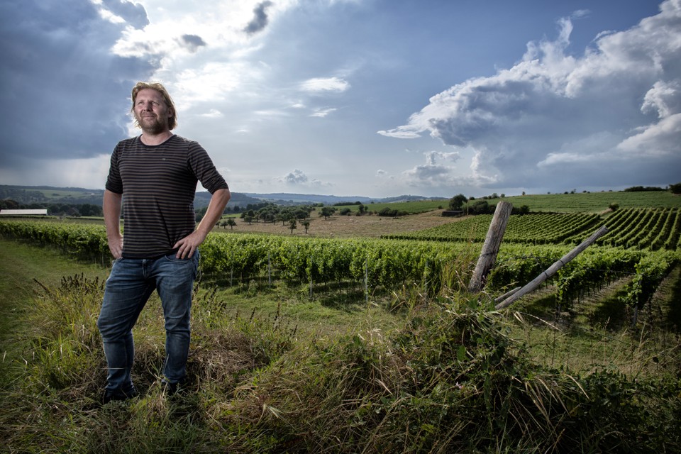 Wijnboer Stan Beurskens kocht in augustus 2019 wijngaard Ceres. Hij wil daarvan een wijndomein maken.  
