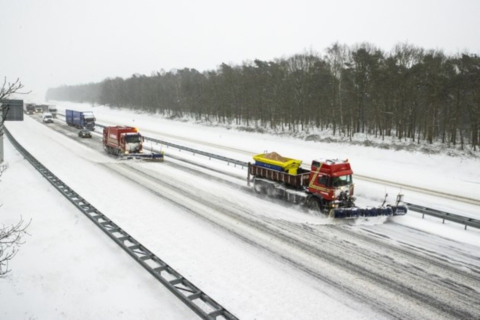 Afbeelding ter illustratie. 