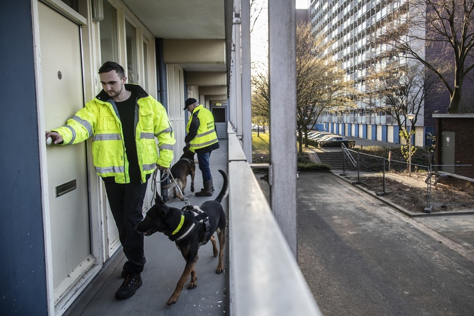 Bewakers met honden houden sinds enkele weken toezicht op de Eisenhowerflat.