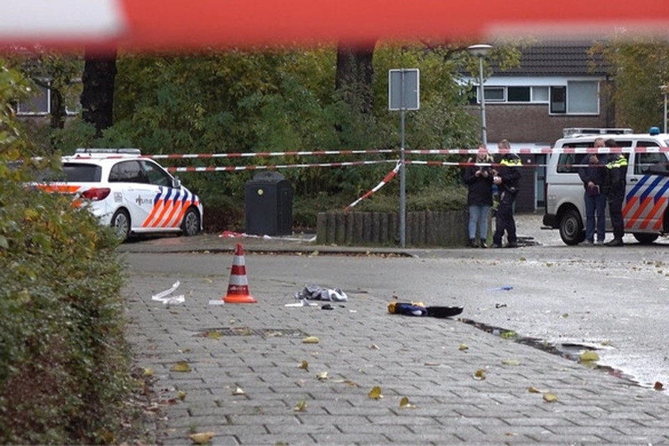 Agenten hebben woensdagochtend een 48-jarige vrouw neergeschoten die voertuigen aan het vernielen was tegenover een basisschool in Alkmaar. 