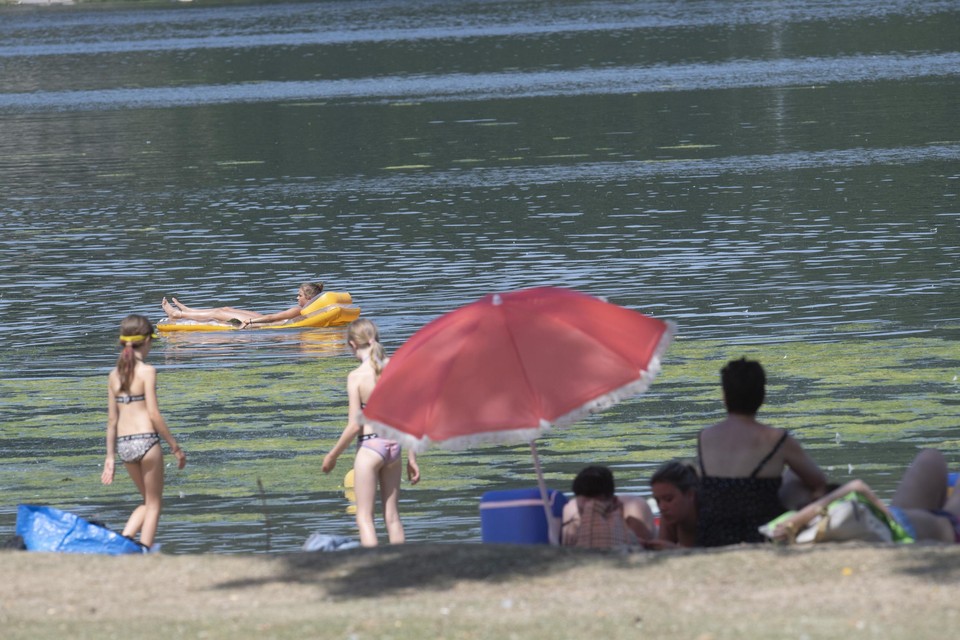 Gezinnen zoeken verkoeling aan het dagstrand van Oost-Maarland tijdens de heetste zomerdag, 19 juli. 