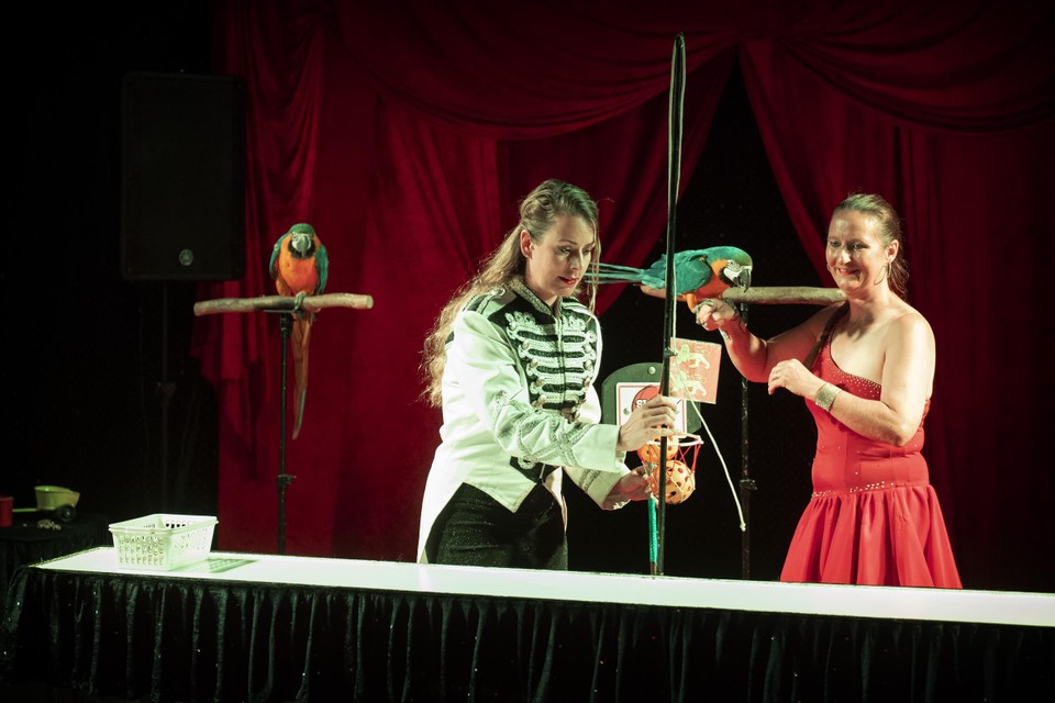 Directeur Steffie Rutten (links), manusje van alles in haar Circus Bolalou, in de rol van spreekstalmeester. 