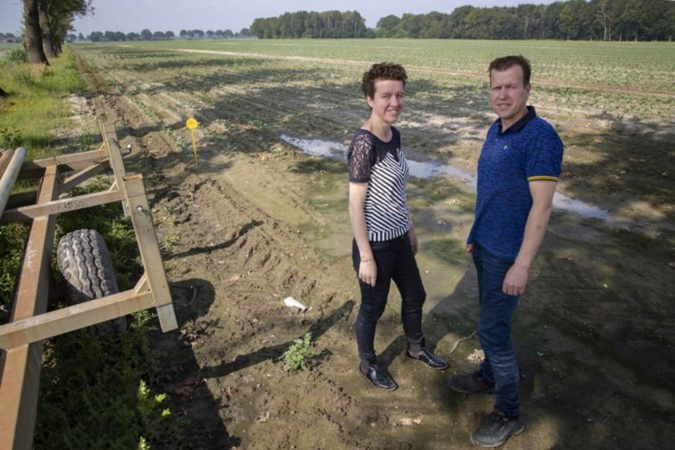 Janneke en Chris Salimans op de akker vol broccoli in Nederweert waar ze een crematorium willen laten bouwen. 