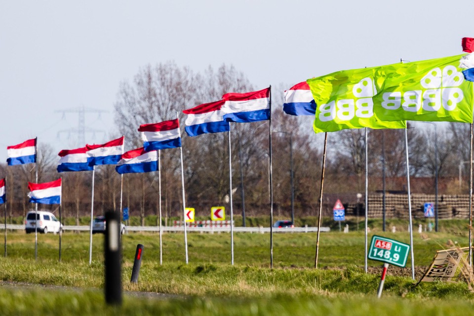 Langs de A58 in Goes zijn Nederlandse vlaggen goed opgehangen na de overwinning van de BBB bij de Provinciale Statenverkiezingen. De afgelopen maanden protesteerden boeren tegen het kabinetsbeleid met omgekeerde vlagen.
