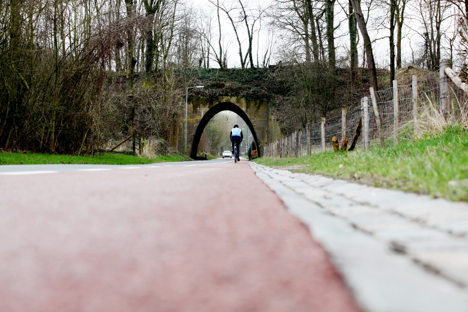 De fietsroute gaat onder meer over dit oude viaduct in Reijmerstok.