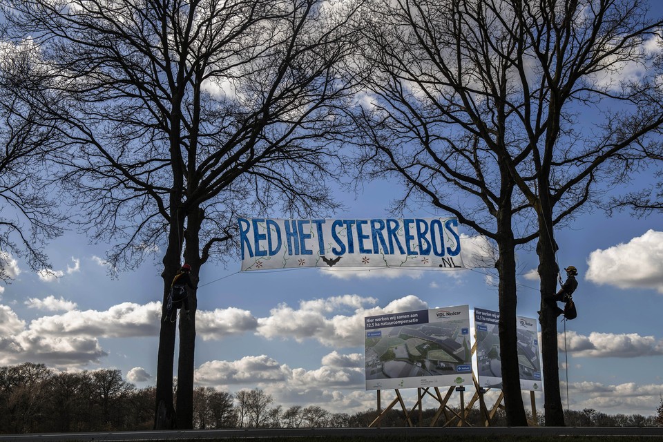 Actievoerders voerden in februari actie voor behoud van het Sterrebos. 