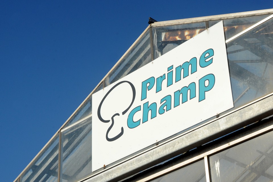 Prime Champ ging failliet na een inval door Justitie en andere opsporingsdiensten.  