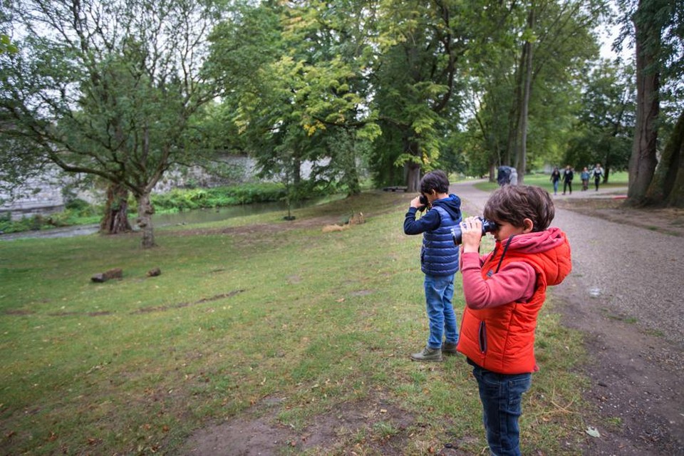 Jonge bezoekers verkennen de natuur in het Tapijnpark in Maastricht. Door QR-codes te scannen krijgen ze meer informatie over wat ze zien.