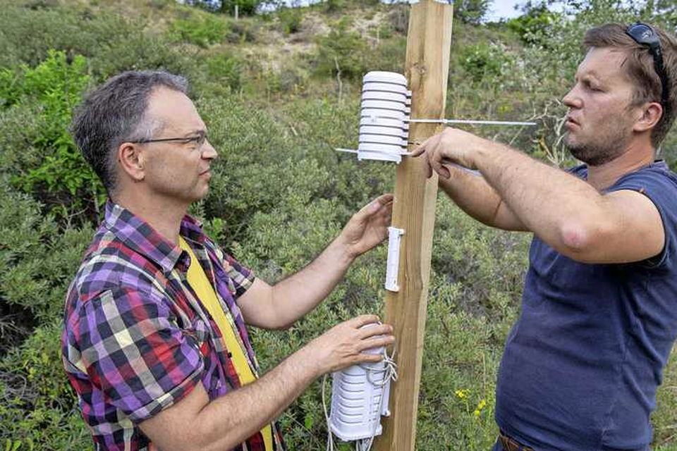 Pieter Bliek (links) en Karel Holvoet installeerden twee weken geleden een nieuw weerhutje, om zo nog meer te kunnen leren over de temperatuur in de duinpannen. 