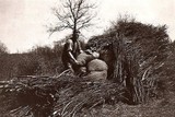 thumbnail: <P>Castenray, 1943. Jan Rambags (Hannes zn.) verstopt in 1943 zakken met rogge onder een hoop ‘schânse’ (takkenbossen) om te voorkomen dat de Duitse bezetters ze in beslag nemen. De ‘Schânse’ werden ‘s winters in de Castenrayse Vennen gekapt en gebruikt om de bakovens te stoken. </P>