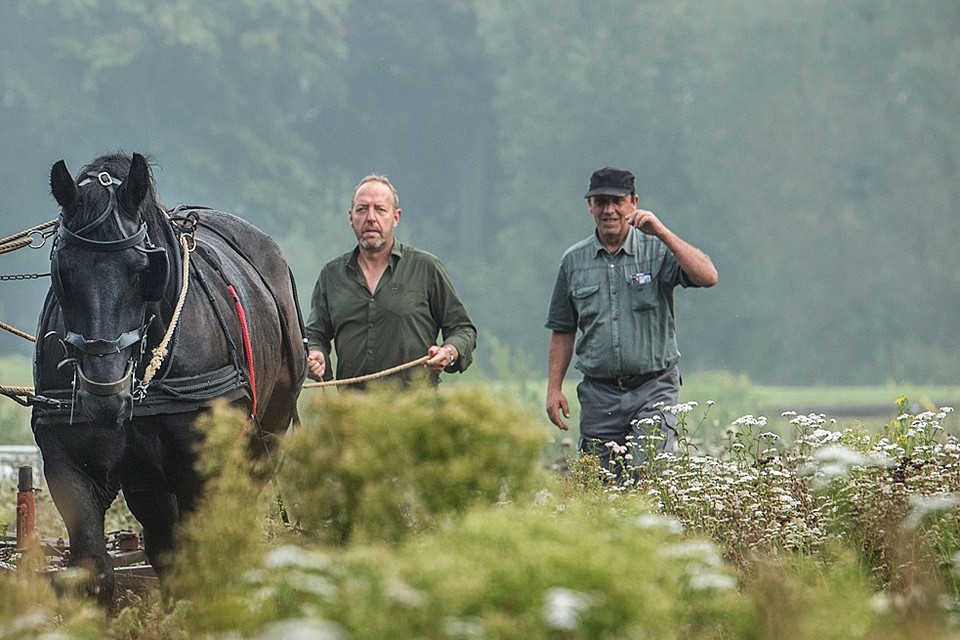 Acteur Harry Piekema (l) oefent met trekpaarden voor de film De Wilde Boerderij.