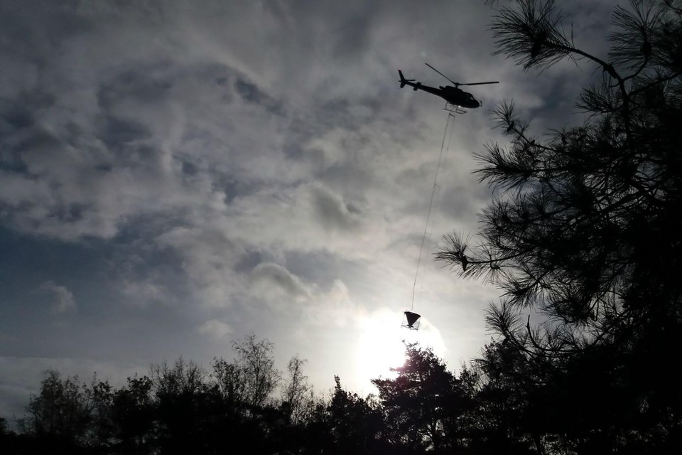 Met een helikopter wordt mineraalrijk steenmeel uitgestrooid over bosgebied. Het is een van de hulpmiddelen om bossen in Limburg weer vitaler te maken.
