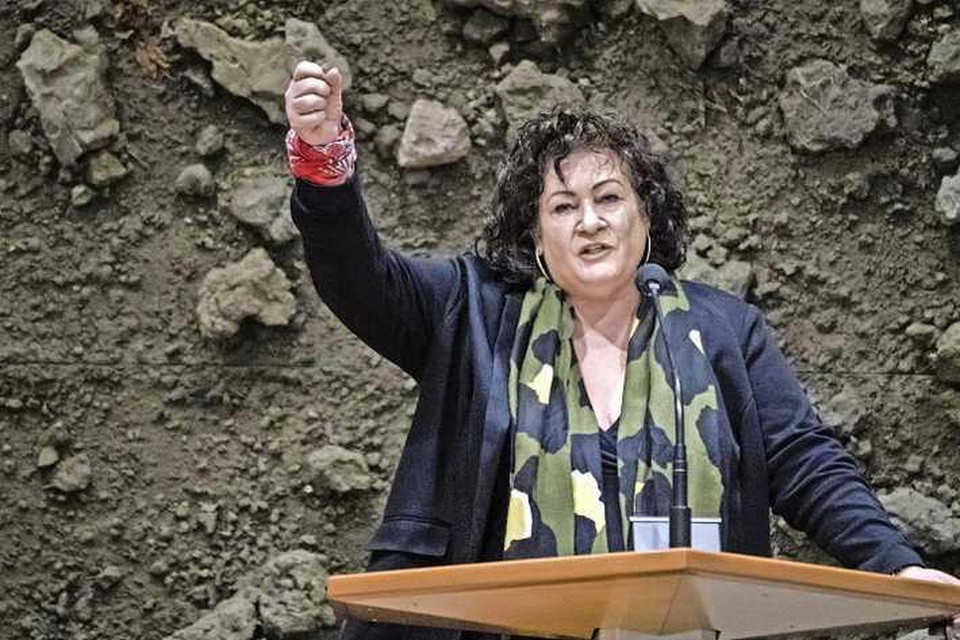 Een zichtbaar strijdbare Caroline van der Plas (BBB) tijdens een debat in de Tweede Kamer over het stikstofbeleid.