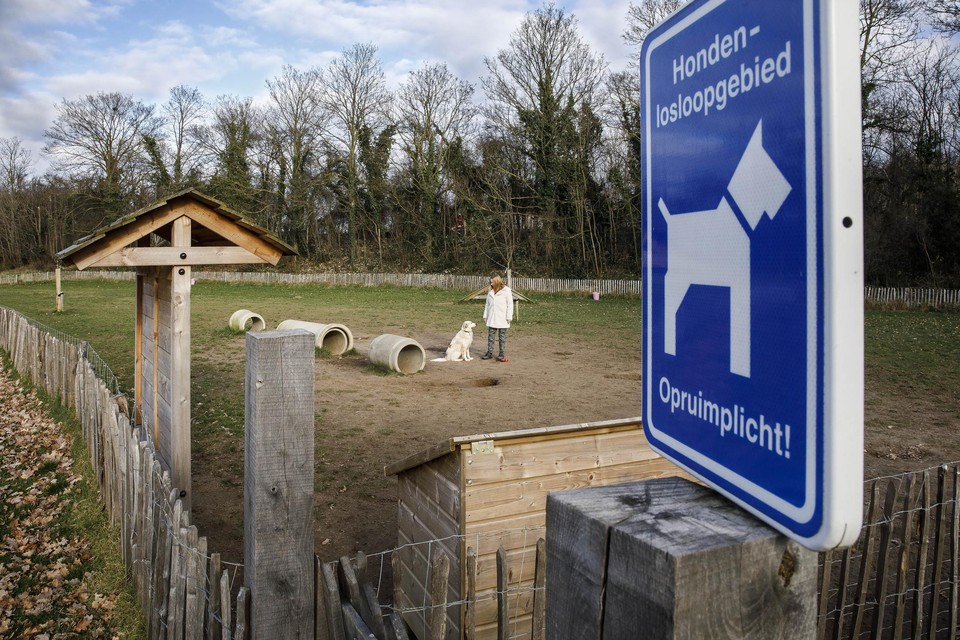 De hondenspeelplek in Maasbracht wordt positief beoordeeld door gebruikers en omwonenden. 