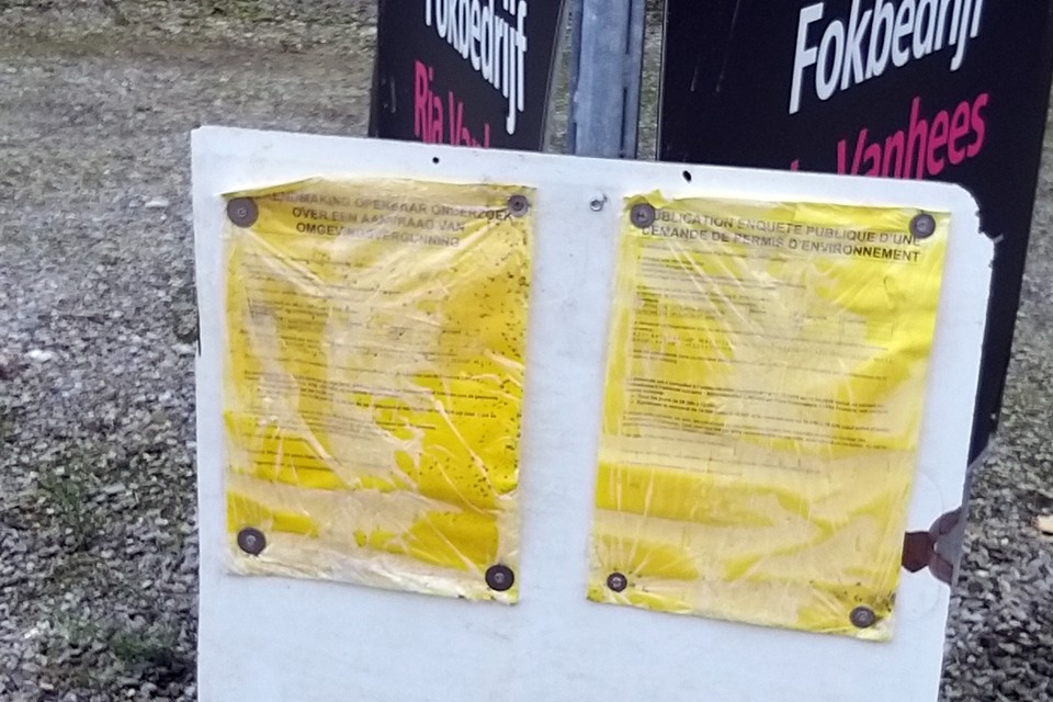 Op gele affiches bij het bedrijf maakt de gemeente Voeren de voorgenomen uitbreiding van de varkensstal bekend. 