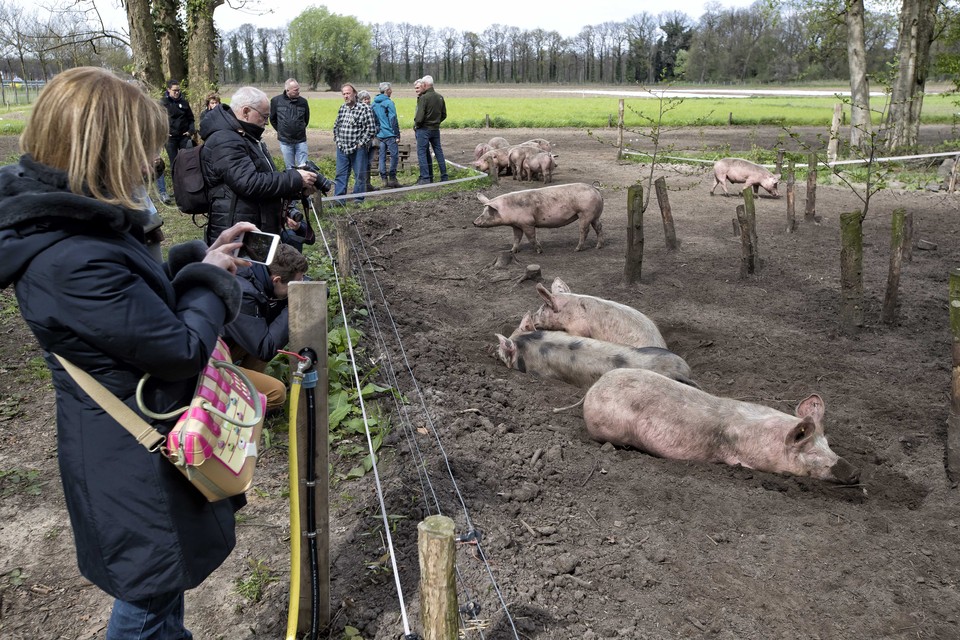 Weert heeft al enige tijd een Herenboerderij 