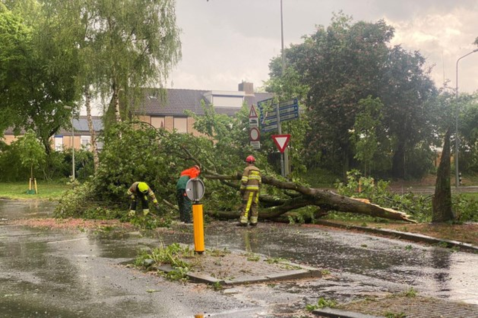 Een boom is door de storm omgevallen in Maastricht.  