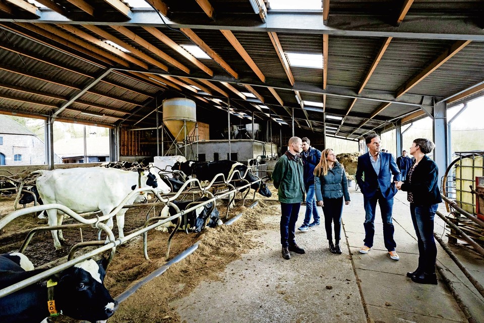Premier Rutte en landbouwminister Schouten brachten gisteren een bezoek aan een melkveebedrijf op de Veluwe. Daarbij kwam onder meer de stikstofproblematiek aan de orde. 