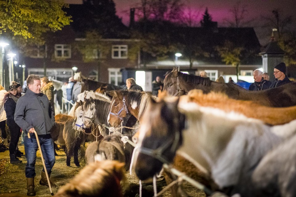 De paardenmarkt in 2019. Voorlopig de laatste die in het centrum van Lottum is gehouden. 