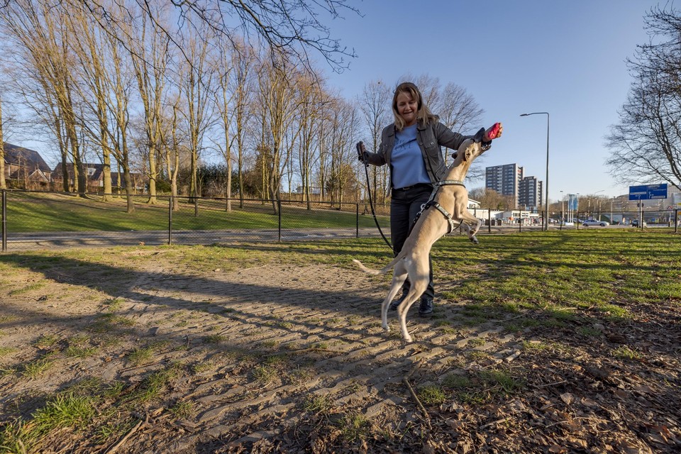 Marianne van Vugt met haar hond Sem op de hondenuitlaatplaats aan de Schandelerboord. 
