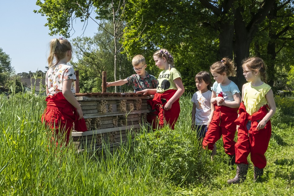 Kinderen van de herenboerderijschool hebben geholpen met het bouwen van insectenhotels. 