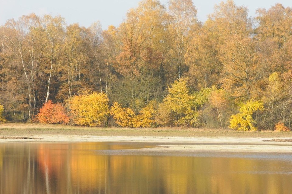 Herfstkleuren op Landgoed de Hamert. 