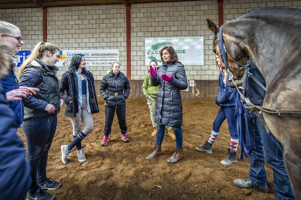 abces adviseren Serie van Citaverde wil 1,7 miljoen voor paardenopleiding - De Limburger Mobile