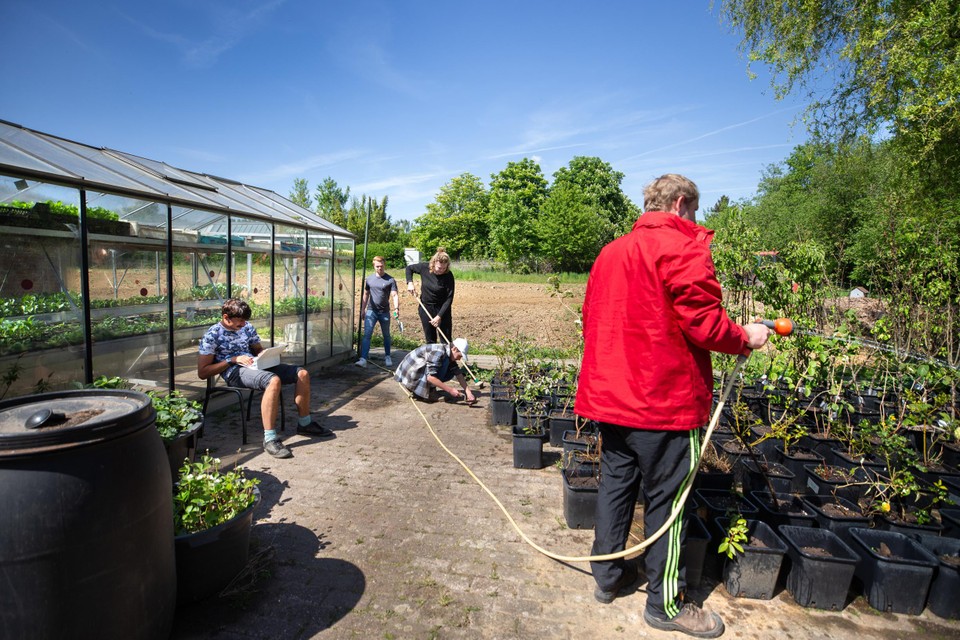 De jongeren, met in hun midden (grijze trui) projectleider Jeroen Nissen, verzorgen de planten om ze later te verstekken. 
