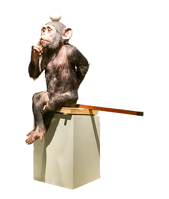 Beeld van Les Deux Garcons, te zien op de succesvolle expositie Mystiek in het Limburgs Museum.