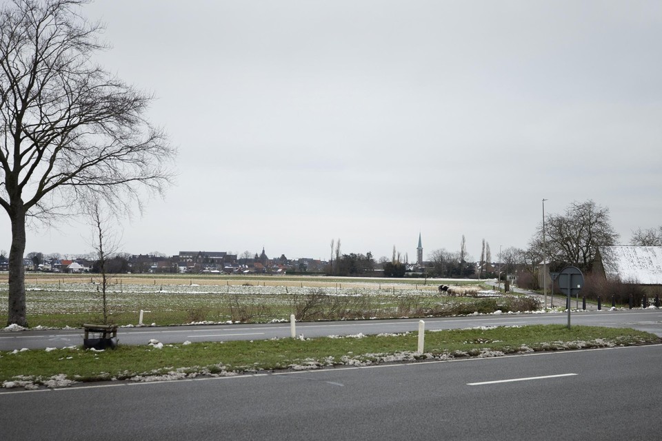 De plek langs de Koning Boudewijnlaan in Maaseik waar de twee turbines moeten komen.