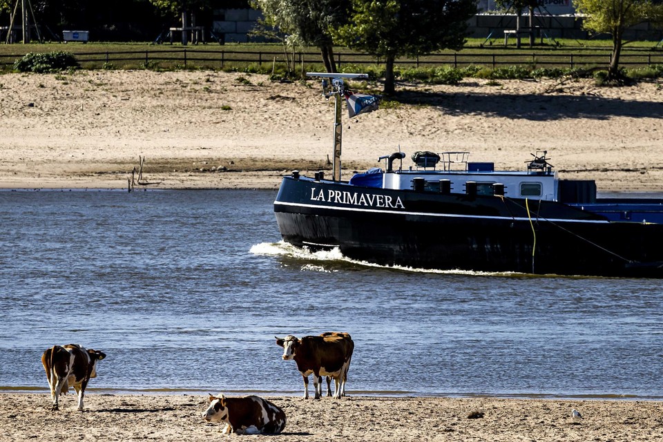 De aanhoudende droogte zorgde in augustus 2022 voor lage waterstanden en watertekorten.