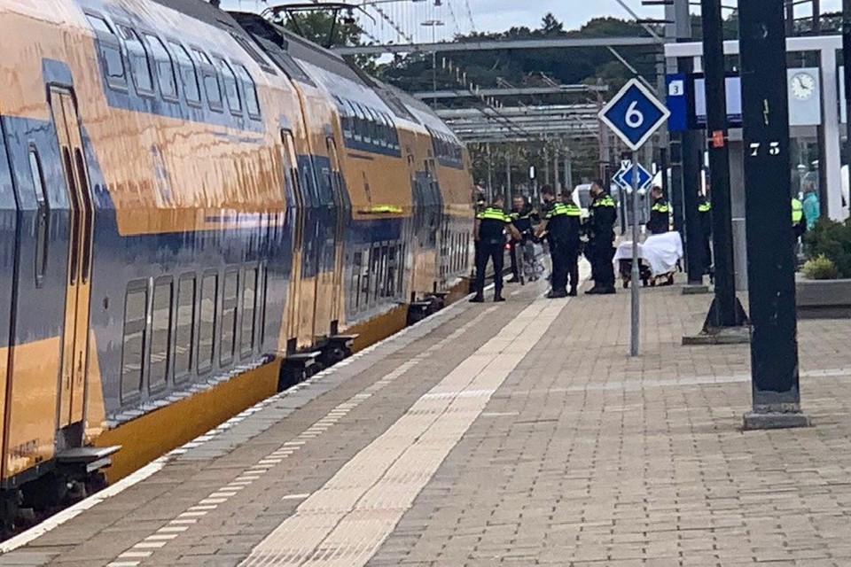 Politieagenten gingen een trein in om de man op te kunnen pakken. 