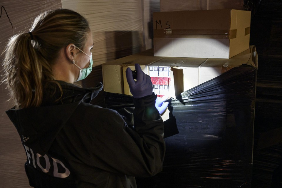Een werkneemster van de fiscale opsporingsdienst FIOD tijdens de inval in een loods met illegale sigaretten in Stramproy in 2019.