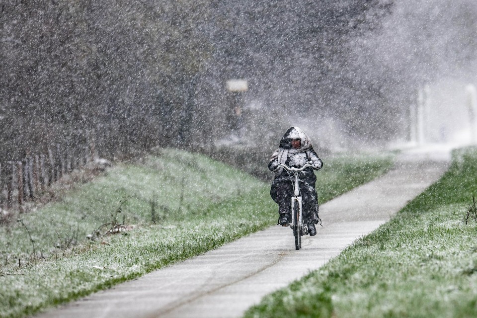 Een fietser trotseert vrijdag de sneeuwjachten.