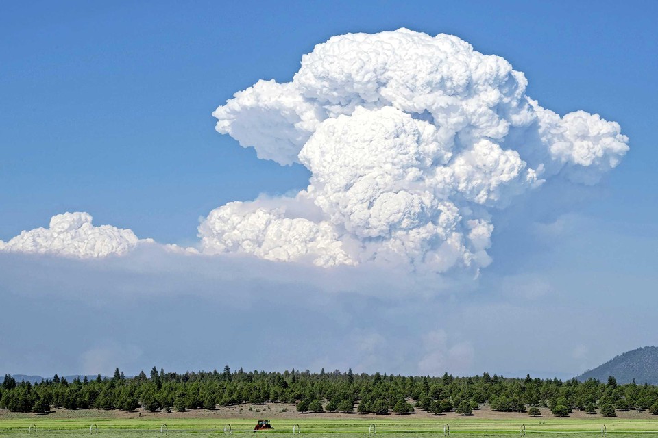 Een door brand veroorzaakte pyrocummulus-wolk boven Oregon.  