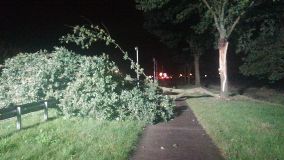 In Heide blokkeerde een door de wind gevelde boom de Deurneseweg (N270).  