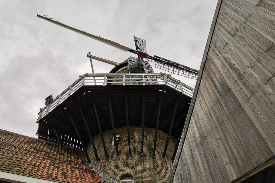 De Hompesche molen in Stevensweert laat ook de wieken draaien. 