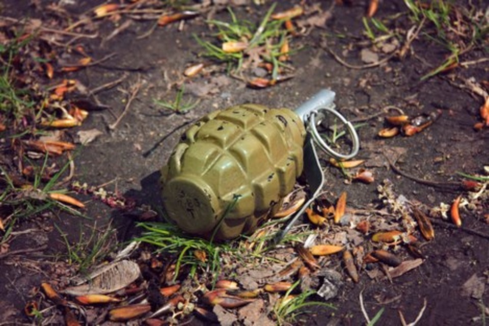 Een granaat. 