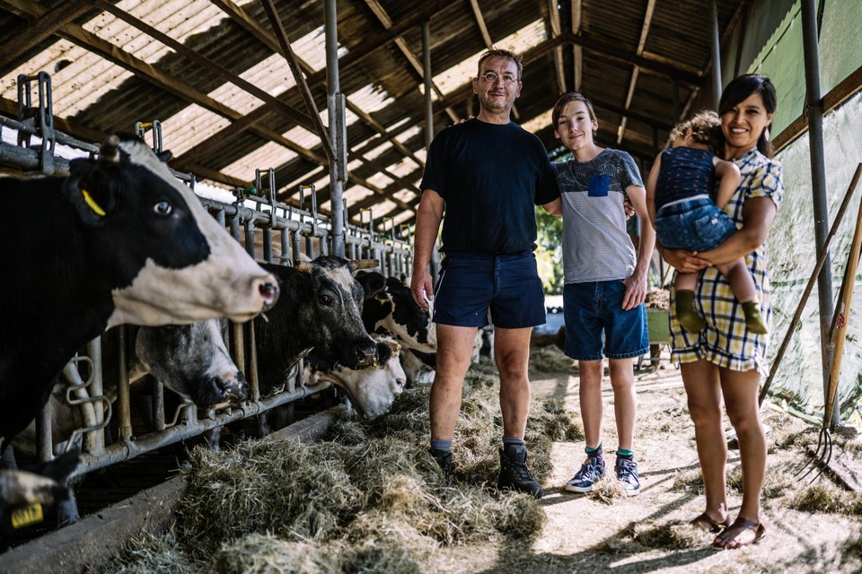 Het gezin Kallen bij de koeien in Neerbeek met v.l.n.r. Pierre, Dennis, Emmanuel en Angela. 