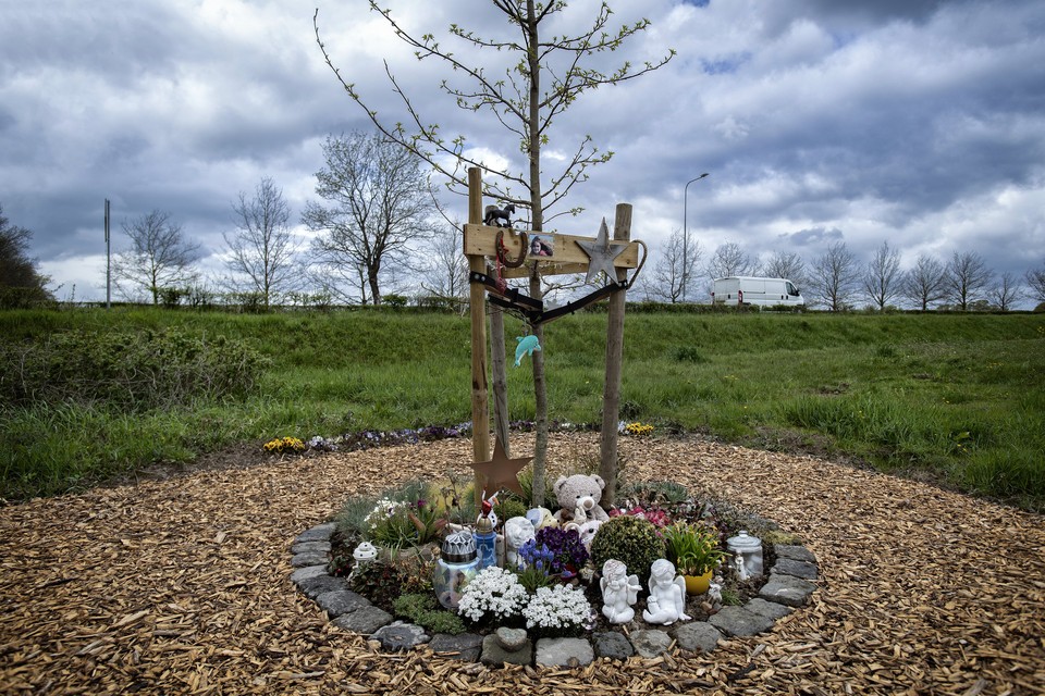 De gedenkplek voor Amber bij Voerendaal. Onder meer een amberboom is geplant. 