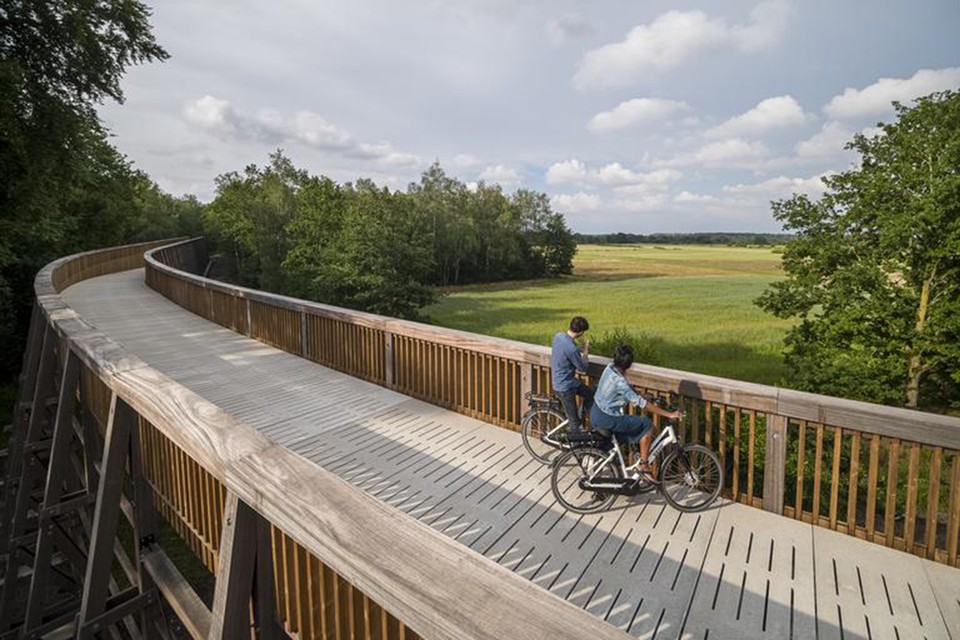 De nieuwe toegangsbrug naar het heidelandschap in het hart van het Belgische Nationaal Park Hoge Kempen. 