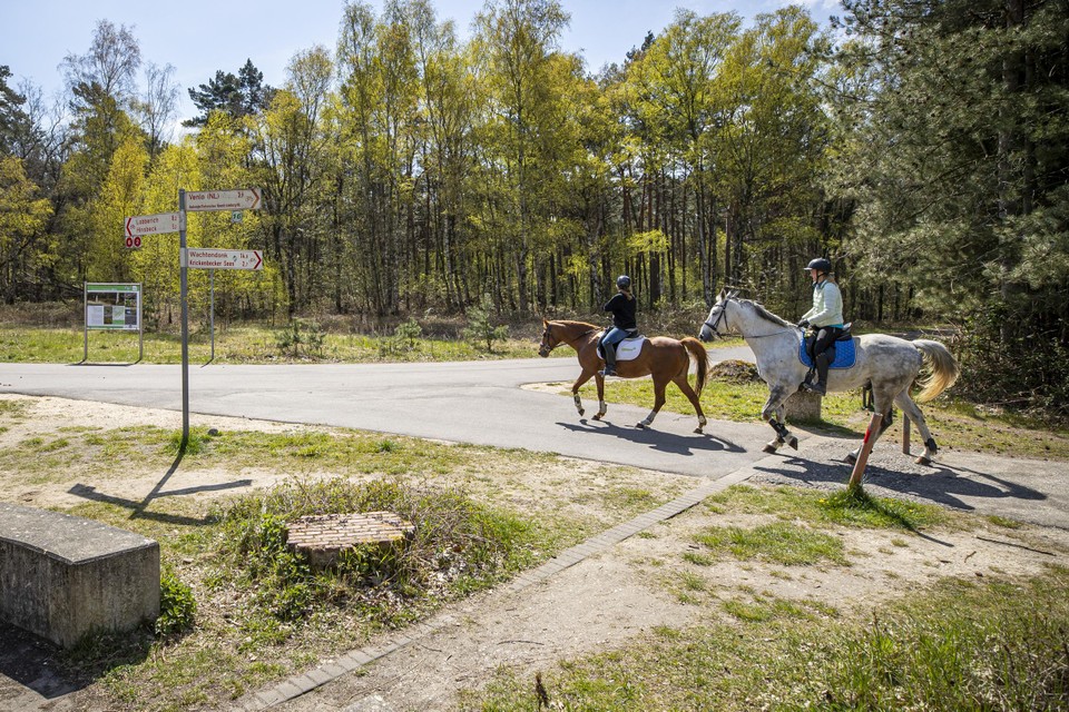 De Groote Heide in Venlo is een populaire recreatieplek. Een deel is aangewezen als losloopgebied voor honden. 