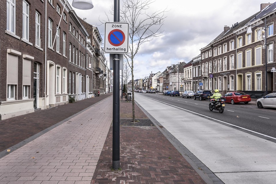 De verschillende stroken langs de Willem II Singel. Volgens de rechter is het niet duidelijk dat de middenstrook met de paal en de bomen een voetpad voor moet stellen. i