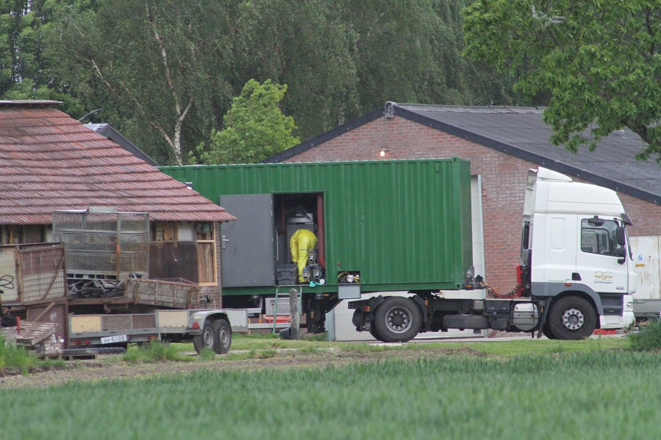Het ruimen van dieren in Weert is zaterdagochtend begonnen. 