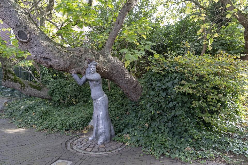 In Tegelen staat deze bijzondere trompetboom, ondersteund door een beeld waarvoor voormalig pastoor John Dautzenberg model heeft gestaan.  