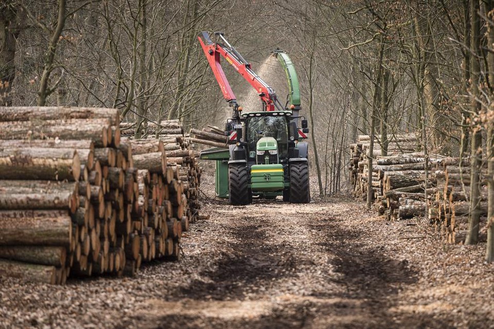 In De Meinweg wordt er sinds deze week hard gewerkt aan het natuurlijke herstel van het bos.  
