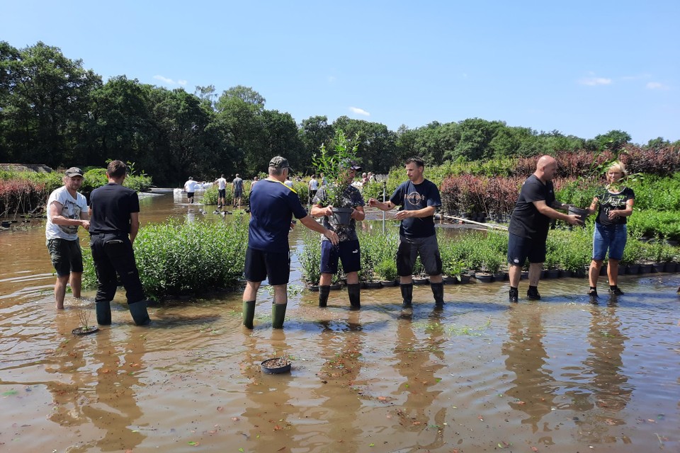 De plantenkwekerij loopt onder water. Vrijwilligers redden wat er te redden valt. 