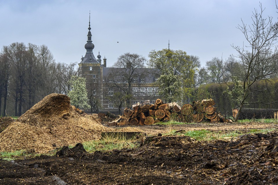 Bomen rond kasteel Eijsden hebben veel te lijden gehad onder de stormen van januari en februari  en zijn gekapt.