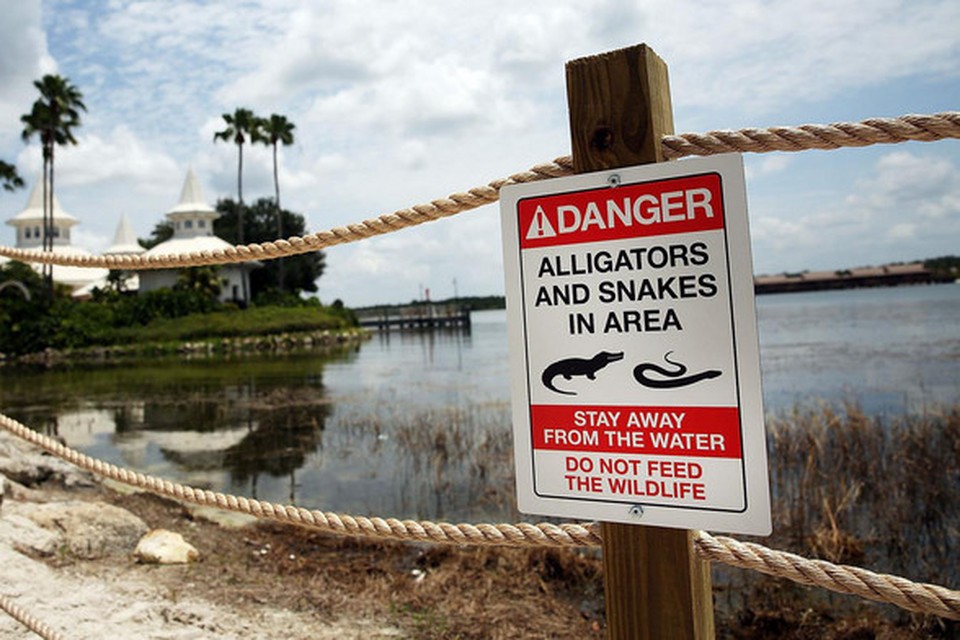 Nieuwe waarschuwingsbordjes rond de Seven Seas Lagoon in Disneyworld.