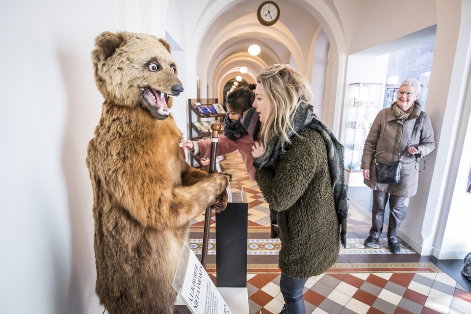 De beer van het Missiemuseum, die ook beweegt als je er een kleiner muntje in stopt dan dat van vijftig cent. 